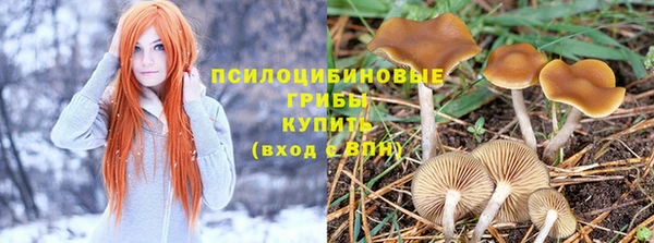 СК Саяногорск