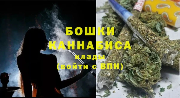 СК Саяногорск
