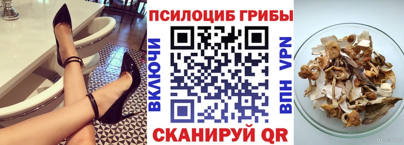 где купить наркотик  нарко площадка официальный сайт  Псилоцибиновые грибы Psilocybe  Светлогорск 